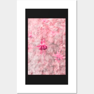 Pink Fuchsia Flower Posters and Art